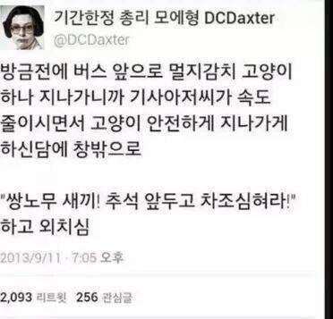 한국의ㅅㅂ데레 | 인스티즈