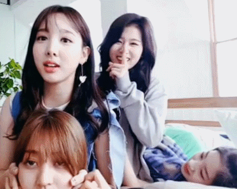 다현이 콧구멍 괴롭히는 사나 | 인스티즈