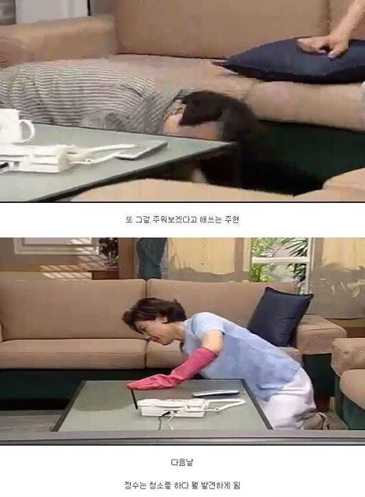 다시보는 레전드 토끼사건 | 인스티즈