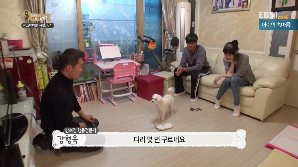 [세상에나쁜개는없다] 가족들에게 짖고 무는 강아지 릴리햏 | 인스티즈