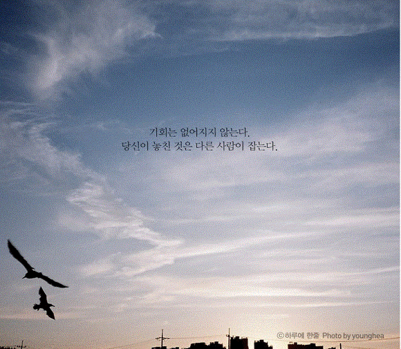 평생 삶의 결정적 순간을 찍으려 발버둥 쳤으나 삶의 모든 순간이 결정적 순간이었다 | 인스티즈