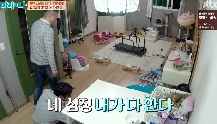 [마리와나] 뚱보냥 호동이 다이어트 시키기 (feat.먼지) | 인스티즈