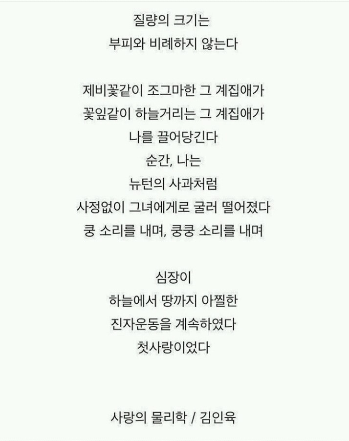 고..양..이..털만..날리...고..별로..안..귀여운데..왜..키우는..거지? | 인스티즈