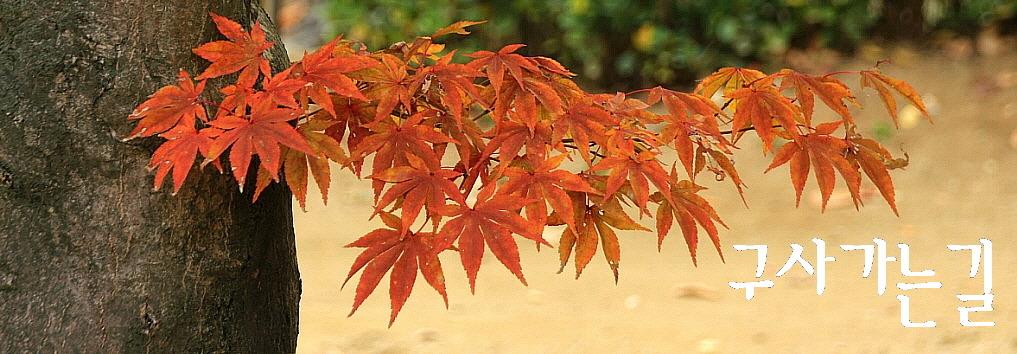 삼천궁녀 이미지
