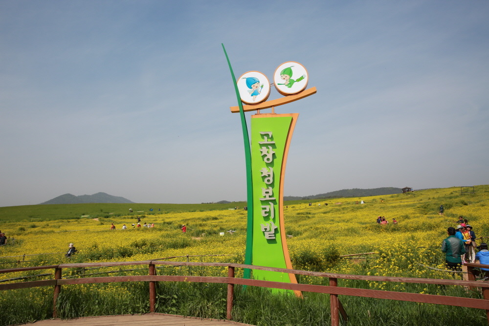 꽃밭에서농장직영 이미지