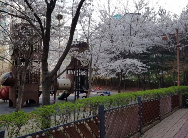 호만브레인유치원 이미지