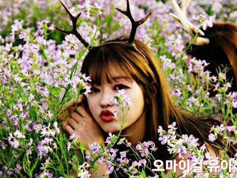 국내에서 뚜벅이 여행으로 가기 좋은곳들 | 인스티즈