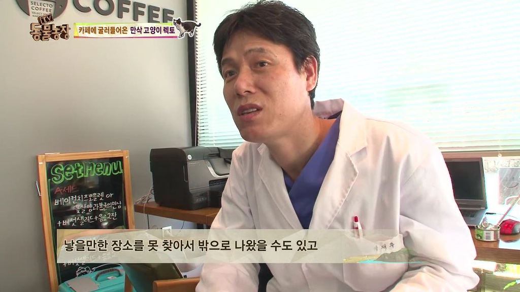 동물농장 [카페에굴러들어온고양이렉토] | 인스티즈