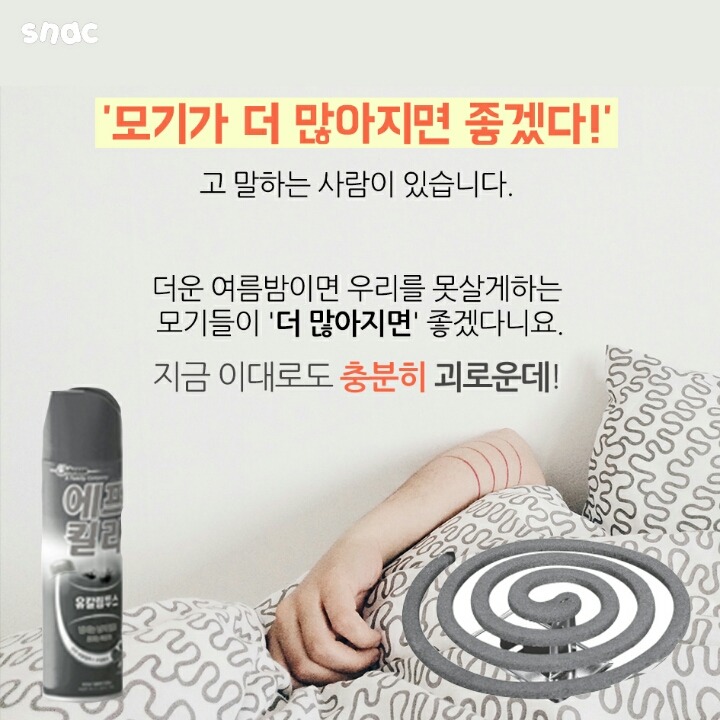 모기와 초콜릿의 평행이론 | 인스티즈