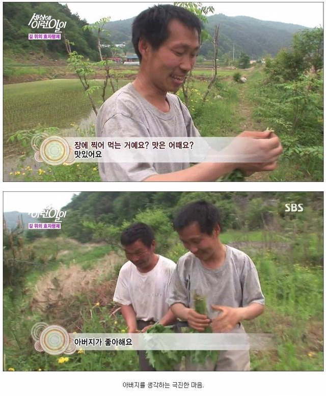 세상에 이런일이 - 길 위에 효자형제 (사이다형제) | 인스티즈