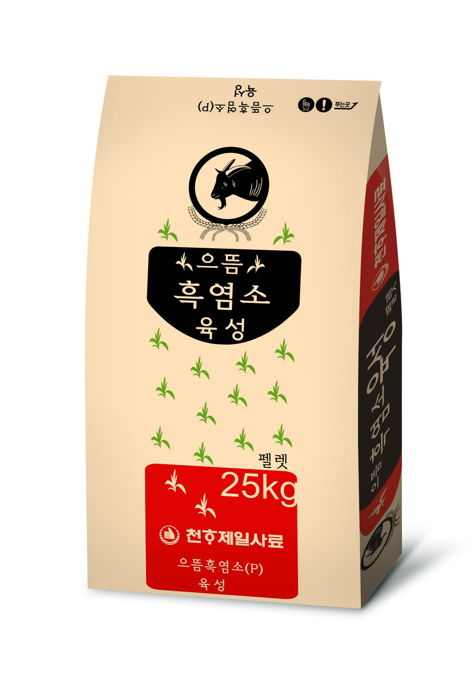 제일흑염소 이미지