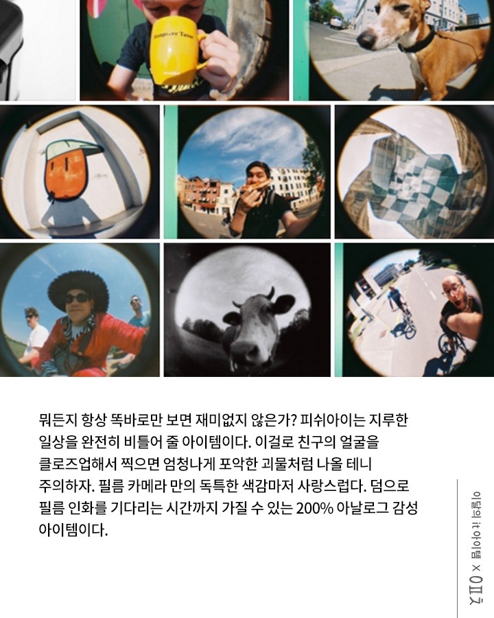 나들이 가고 싶은 당신께 추천하는 카메라 6선 bgm | 인스티즈