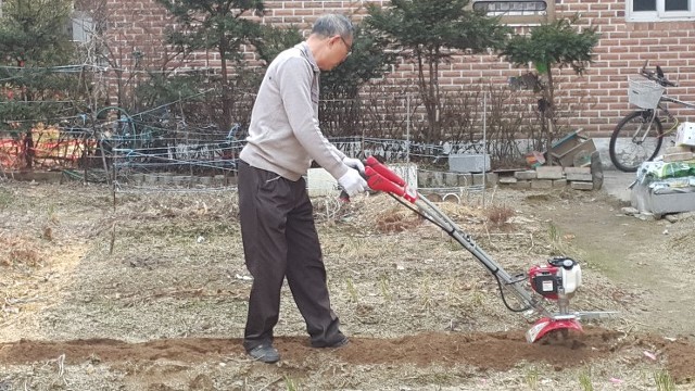 맨티스 이미지