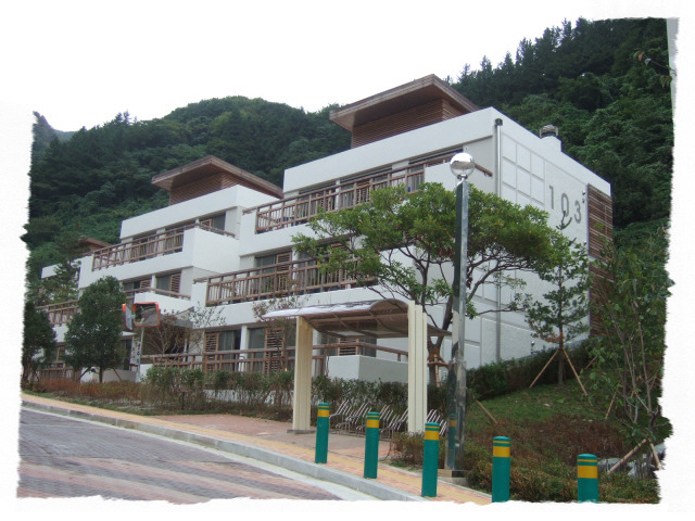 울릉도에는???가 있다 | 인스티즈