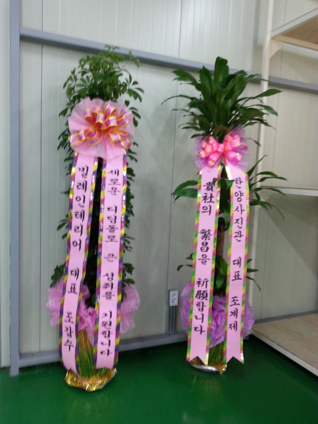 한양사진관 이미지