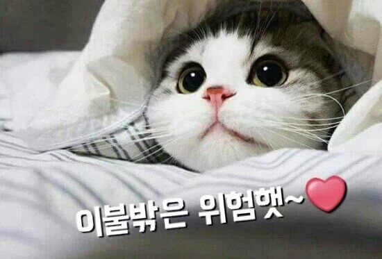 응답하라 1988 종영기념.. 덕선 ♡ 택이 gif 모음.. | 인스티즈