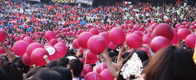 드림콘서트 걸그룹 팬들의 팬석 모습 | 인스티즈