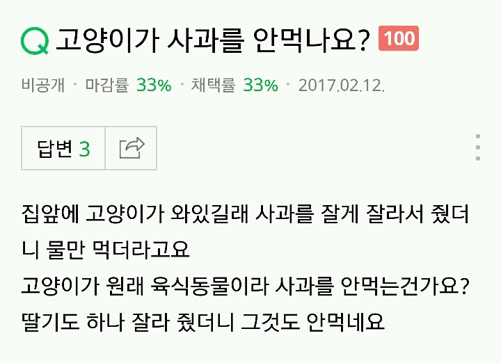 애완동물 키우기시작한 사람들이 조심해야하는 사람들 | 인스티즈