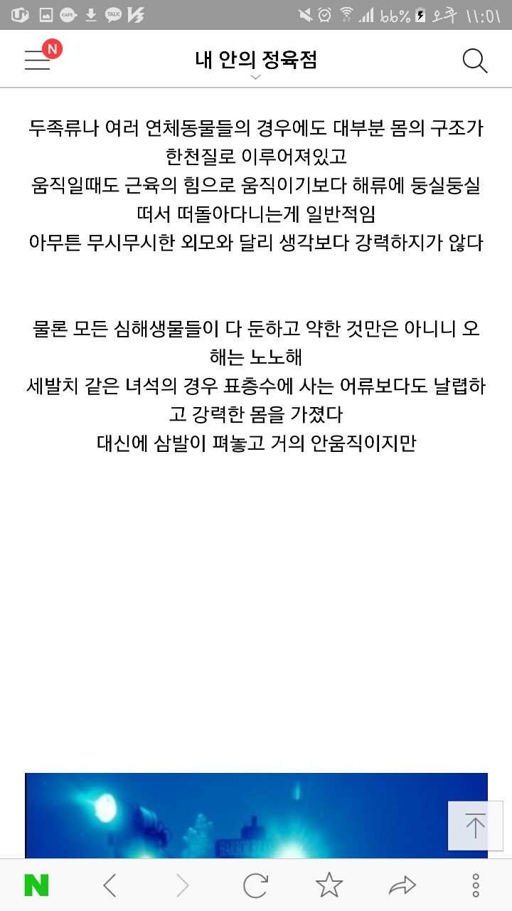 심해생물에 대해 당신들이 잘 모르는 사실들 | 인스티즈