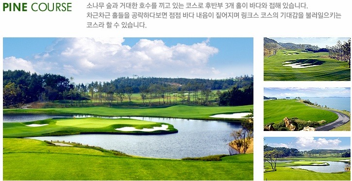 링크스골프 이미지