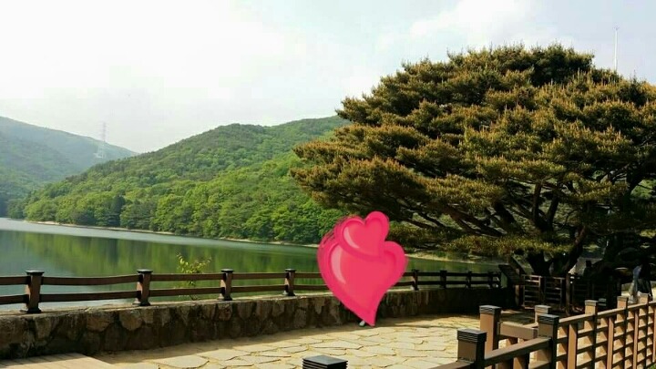 양산법기수원지 | 인스티즈