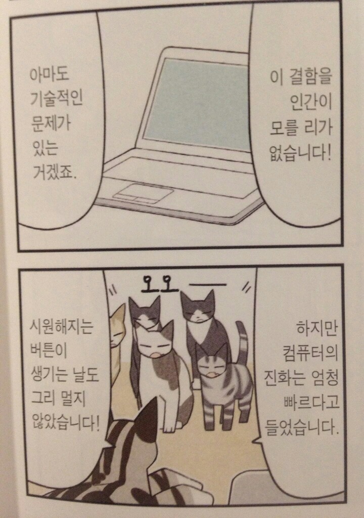 고양이 컴퓨터 사용방법.jpg | 인스티즈