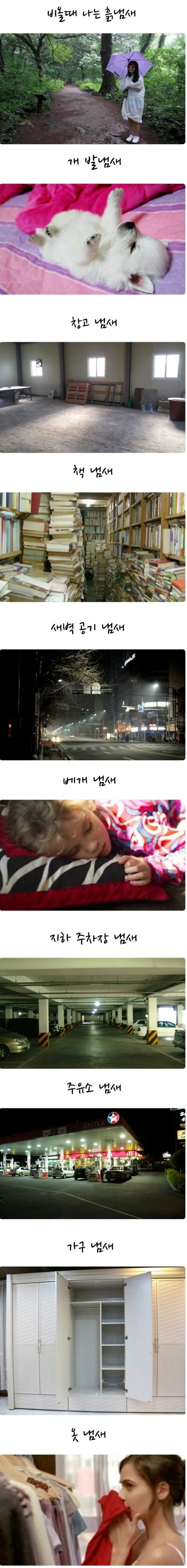 사람들이 은근히 좋아하는 냄새 | 인스티즈