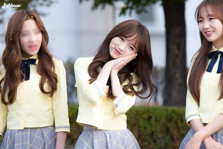 케이 이미지
