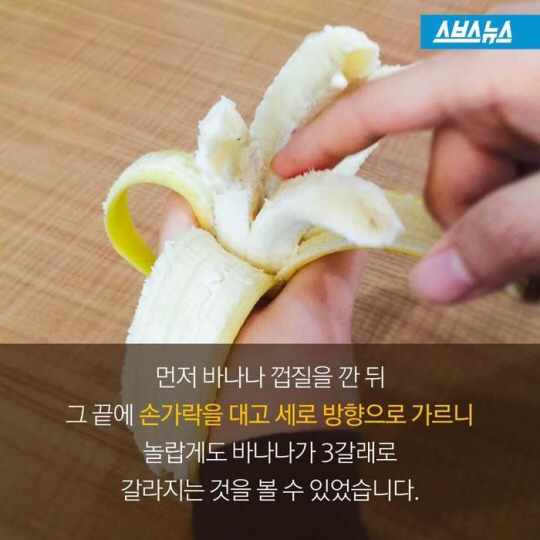 바나나 한 개를 세 명이 똑같이 나눠먹으려면? | 인스티즈