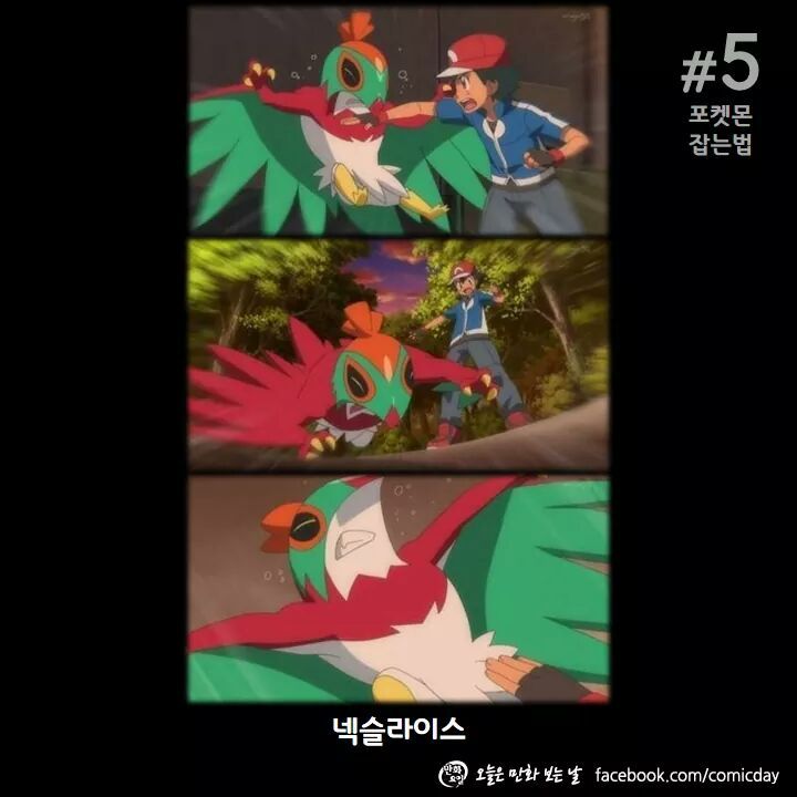 포켓몬스터 지우 인성 수준; (그래도 손오공이 더 쓰레기인듯) | 인스티즈