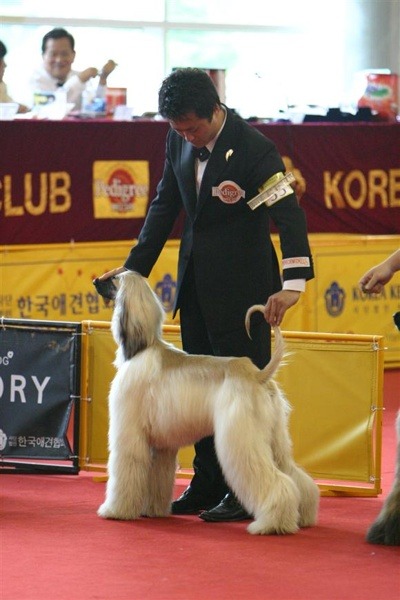 샤론 이미지
