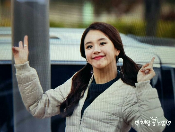 오늘자 아기맹수 채영 | 인스티즈
