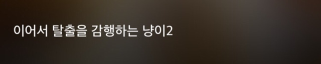 특이한 곳에 털이 자라는 까칠한 매력의 고양이 | 인스티즈