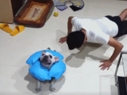주인님 같이 놀아여.gif | 인스티즈