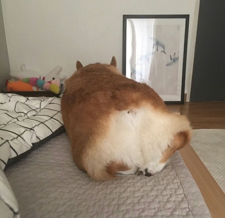 추천 개 | 인스티즈