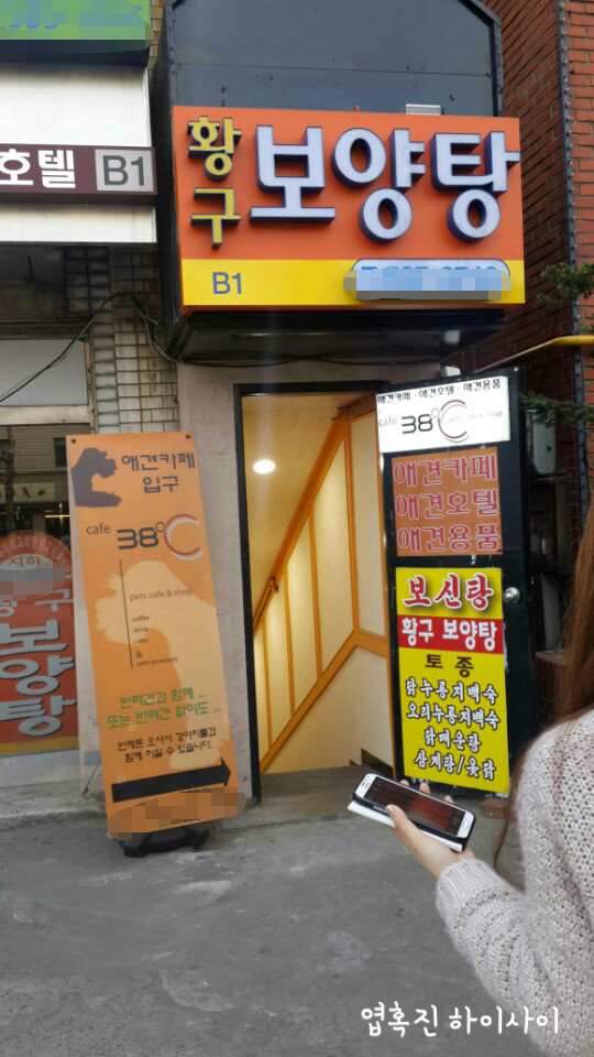 멍멍이의 생사가 공존하는 곳 | 인스티즈