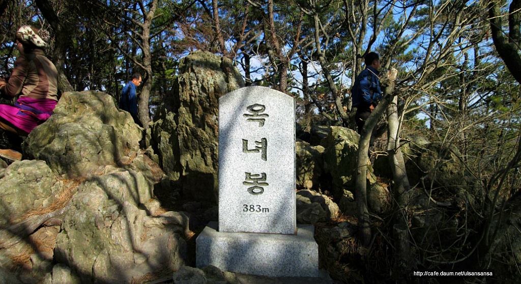 장산꽃농원 이미지