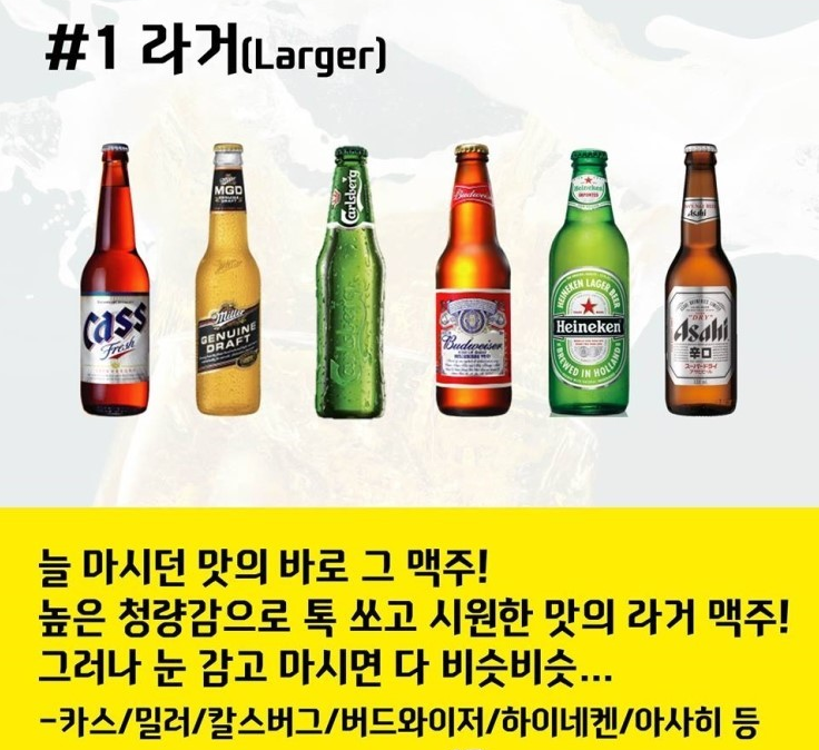 맥주의 세계.jpg | 인스티즈