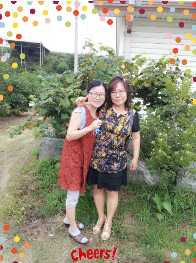 성자한우 이미지