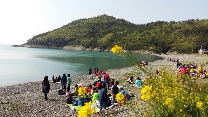 보길초등학교 이미지