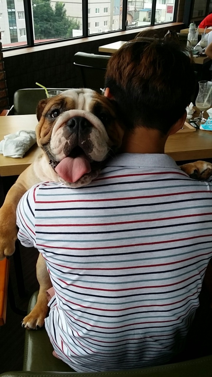 마니 이미지