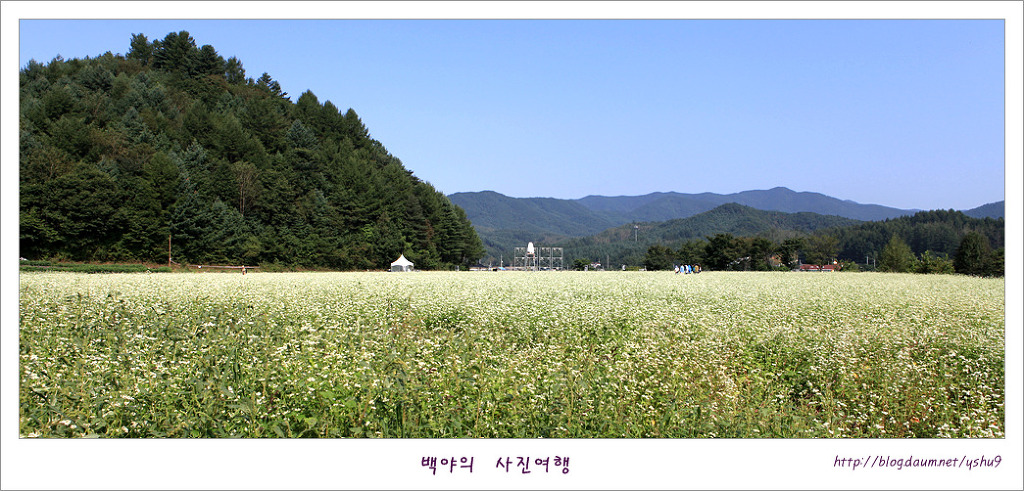 메밀꽃필무렵 이미지