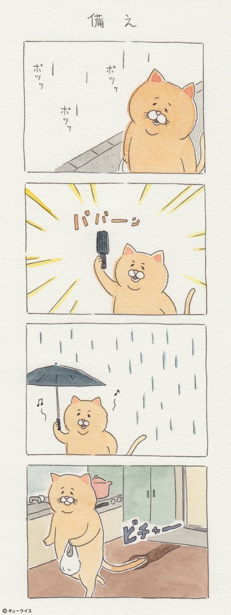 유감스러운 고양이 | 인스티즈
