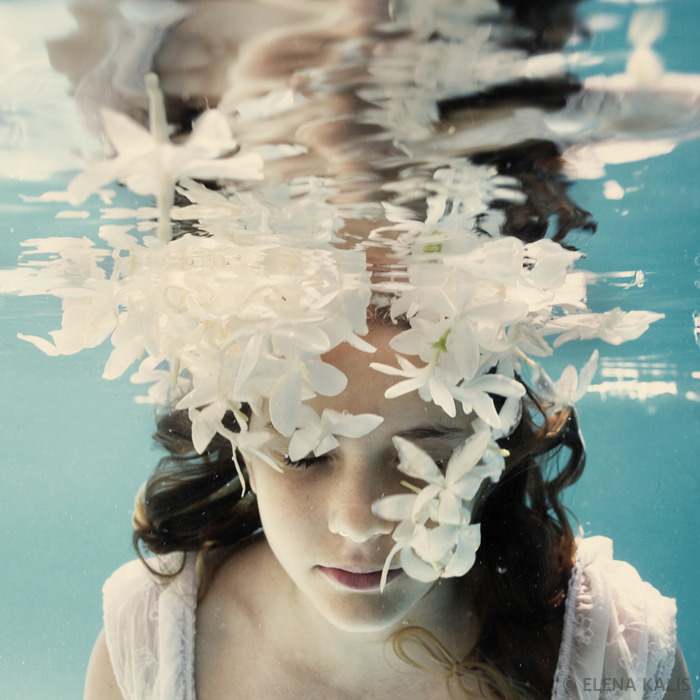 환상적이고 신비로운 수중촬영 사진작가 Elena Kalis의 사진들!! (예쁨주의) | 인스티즈