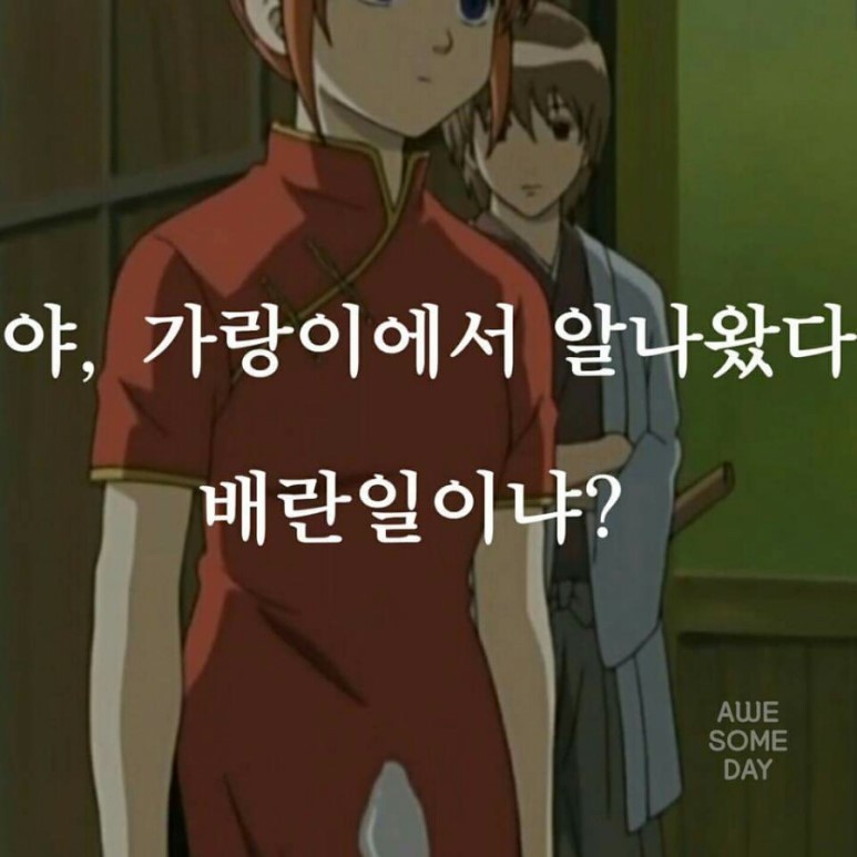일본만화의 아주 같은 점 | 인스티즈