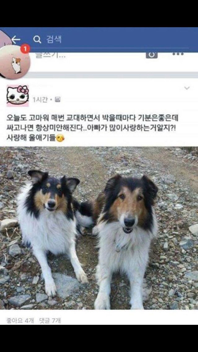 헐 이미지