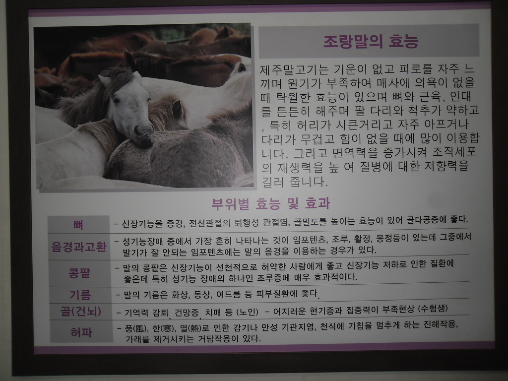 정우말가든 이미지