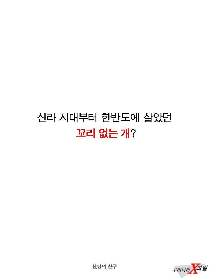 충격적인 개의 실체 ㄷㄷㄷㄷㄷ.JPG | 인스티즈