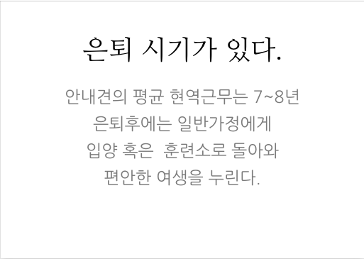 안내견에 대한 잘 몰랐던 사실들.. 그 개를 알고싶다! 안내견편!! | 인스티즈