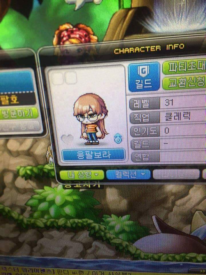 메이플에 나타난 응팔 보라 ㅋㅋ.jpg | 인스티즈